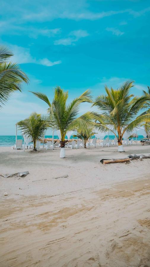 Makary Beach Tolu By Bernalo Hotels מראה חיצוני תמונה